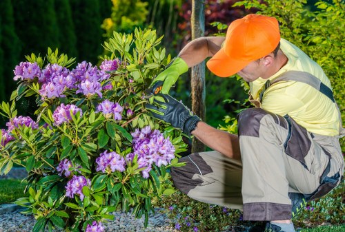 Gardener pruning a small front garden in Waterloo