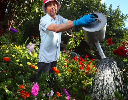 Insurance policy and certificates for gardening services