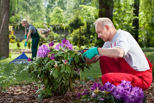 Local Waterloo gardeners completing a landscaping project