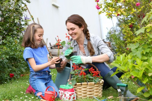 Lush garden in Waterloo showcasing vibrant flowers and greenery