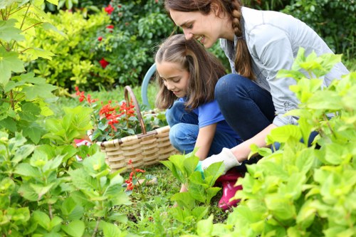 Community garden in Waterloo with residents tending to plants