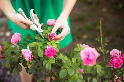 Local gardening event in Waterloo with participants learning new techniques